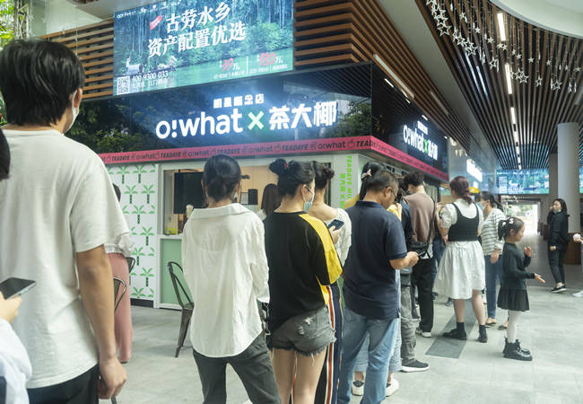 加盟茶大椰奶茶店需要具备什么样的条件